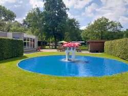 waterpaddestoel